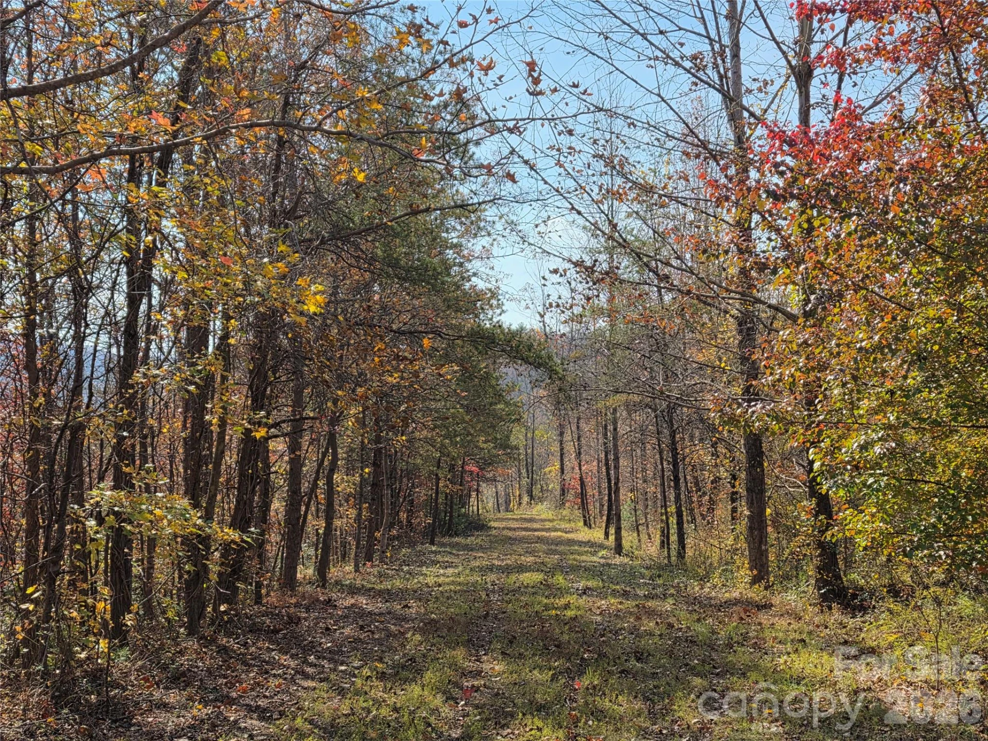 00 Hwy 221 Highway N - Photo 11