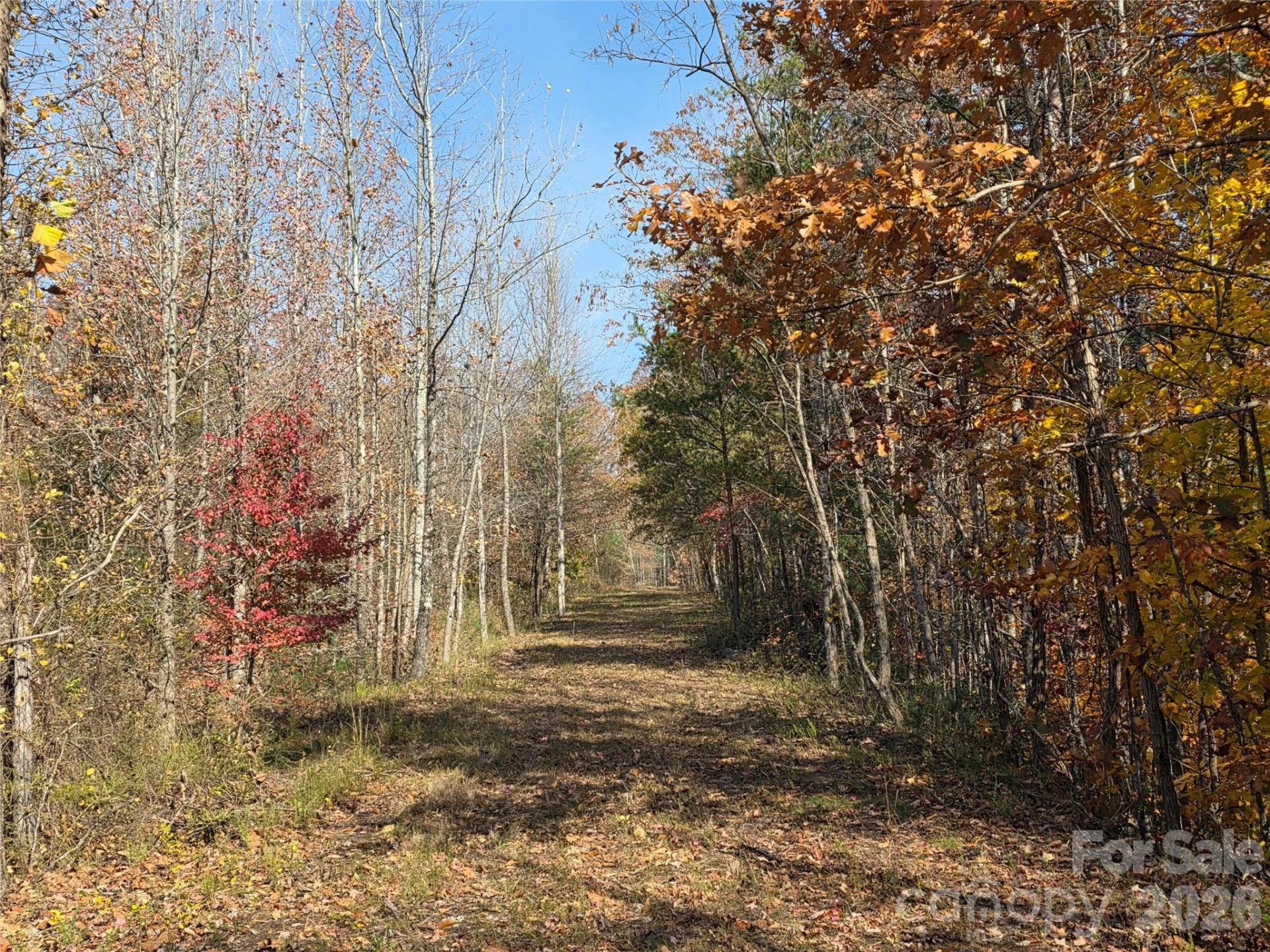 00 Hwy 221 Highway N - Photo 12