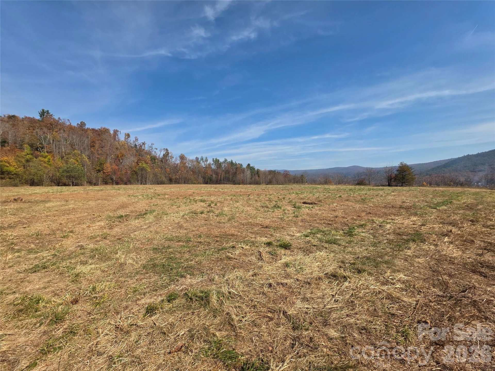 00 Hwy 221 Highway N - Photo 13