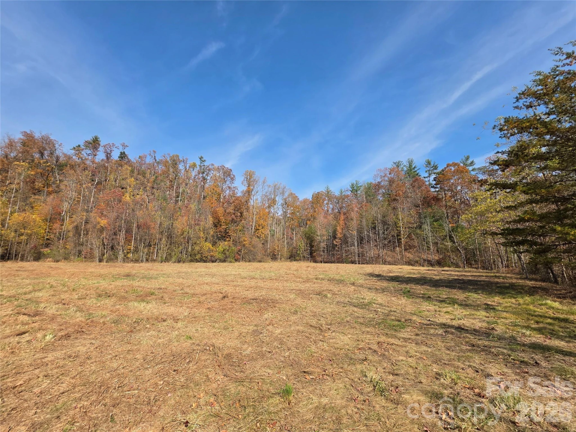 00 Hwy 221 Highway N - Photo 15