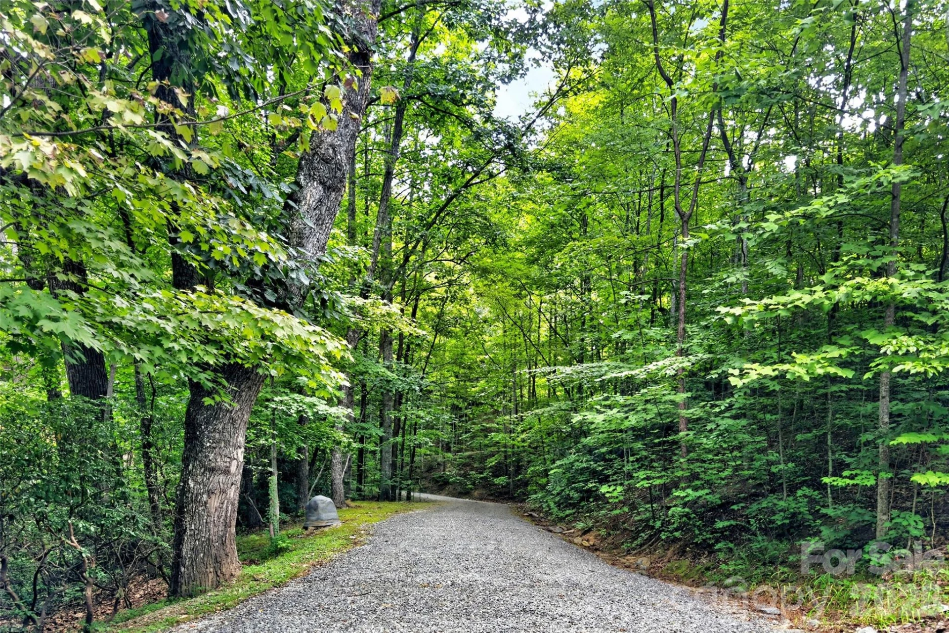 386 Wild Turkey Run - Photo 46