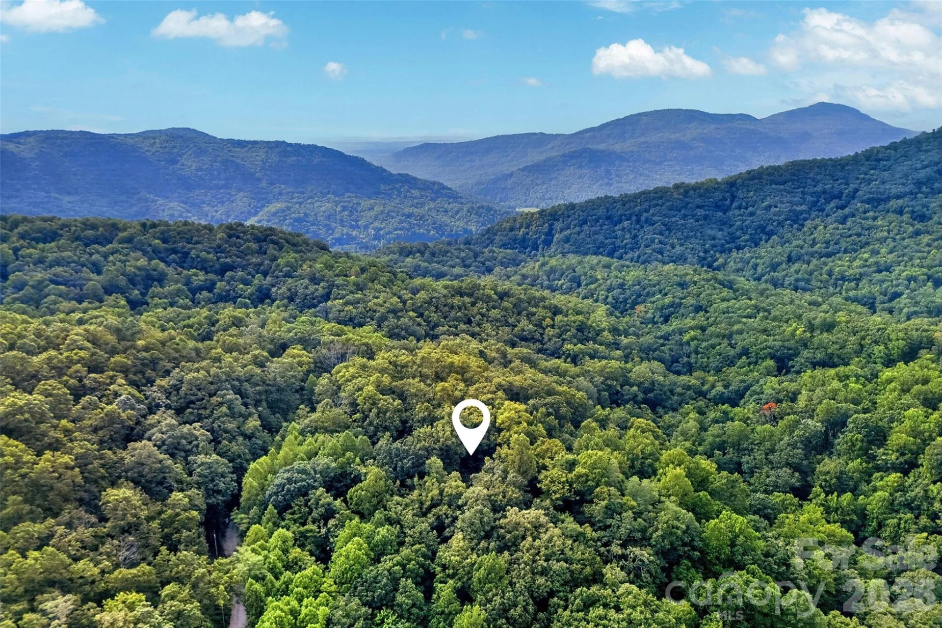 386 Wild Turkey Run - Photo 47
