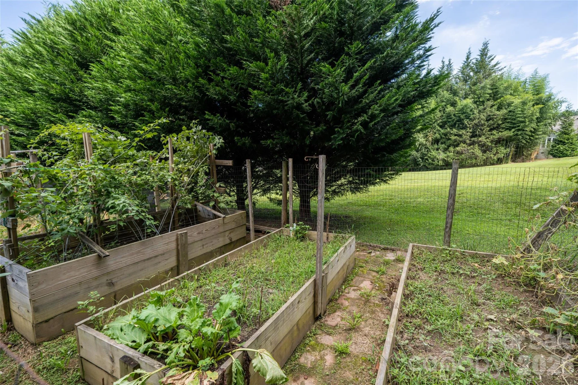 40 Meadow Drive - Photo 45