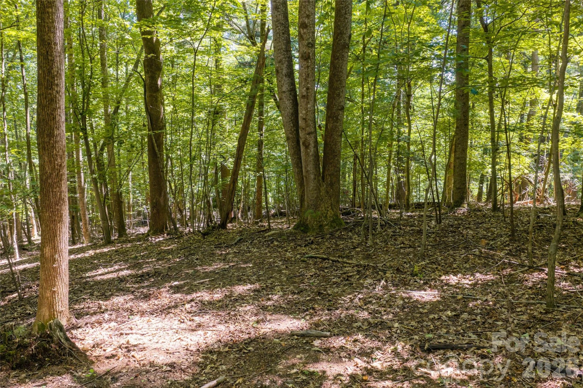 99999 Sabine Drive #2A - Photo 12