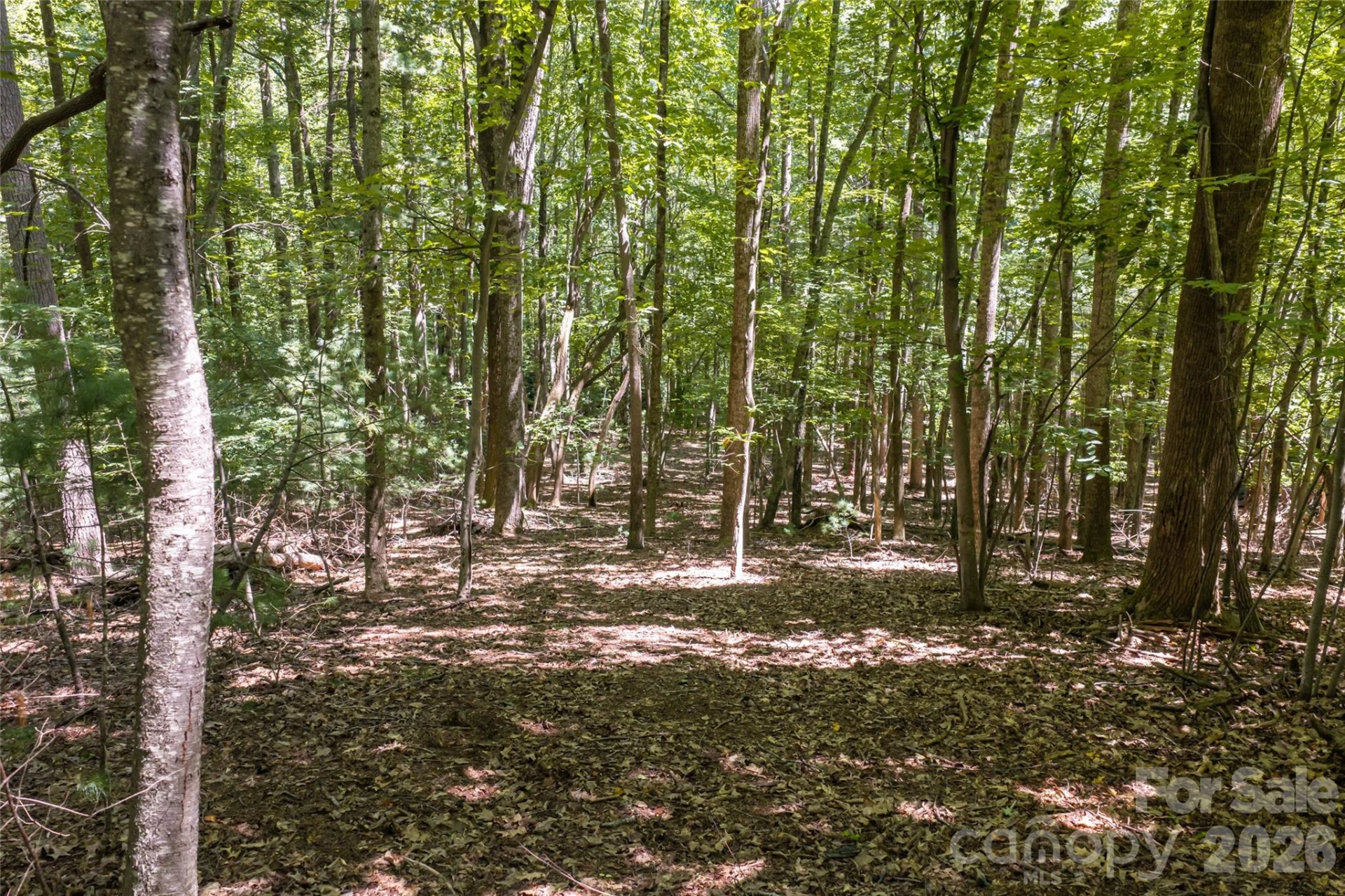 99999 Sabine Drive #2A - Photo 13