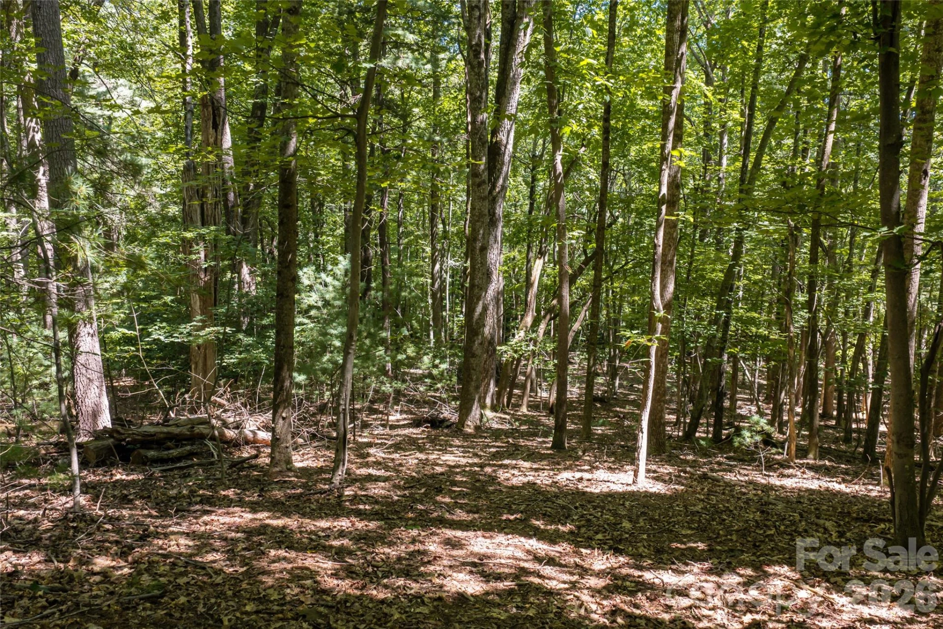 99999 Sabine Drive #2A - Photo 14