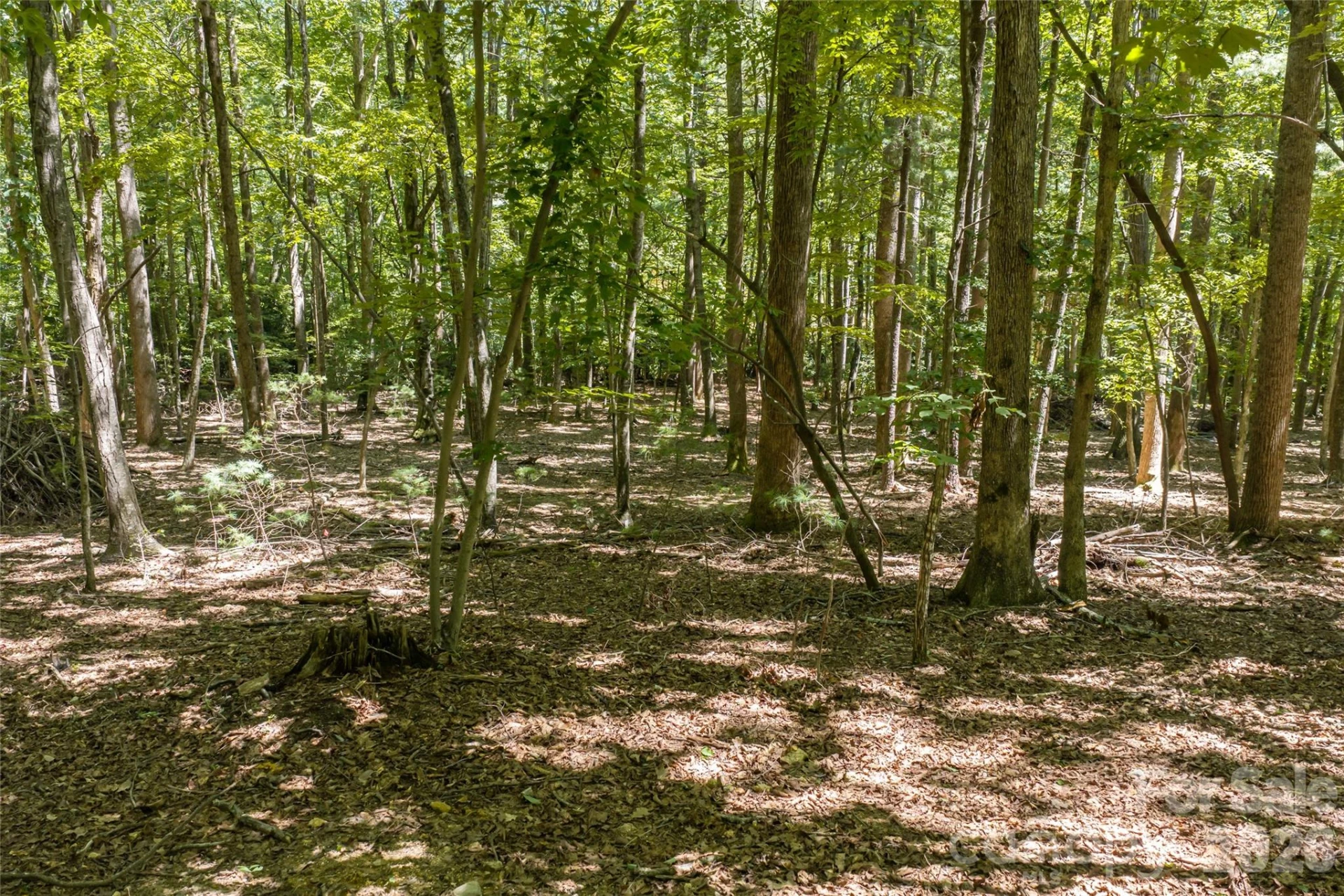 99999 Sabine Drive #2A - Photo 16