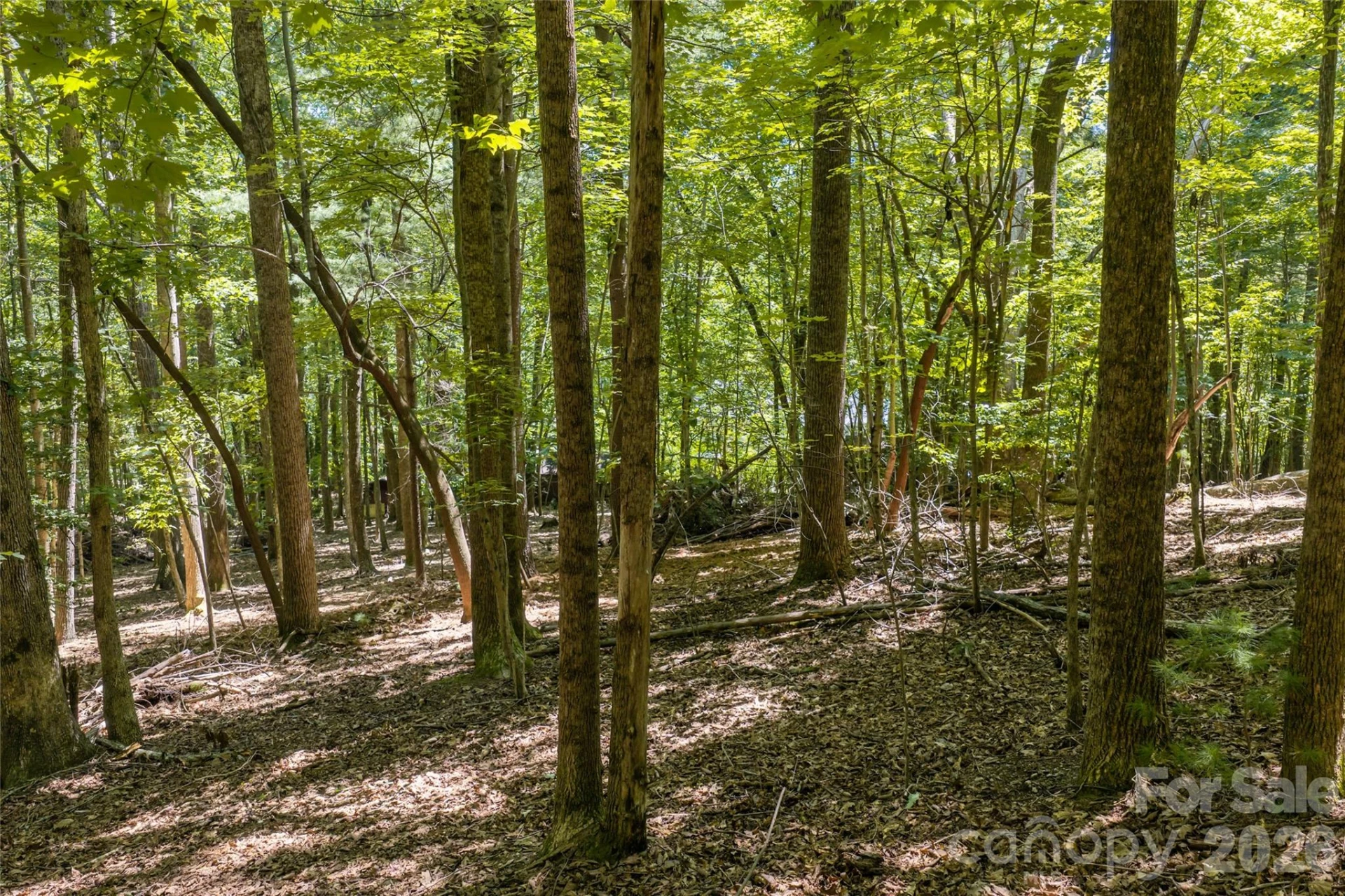 99999 Sabine Drive #2A - Photo 18