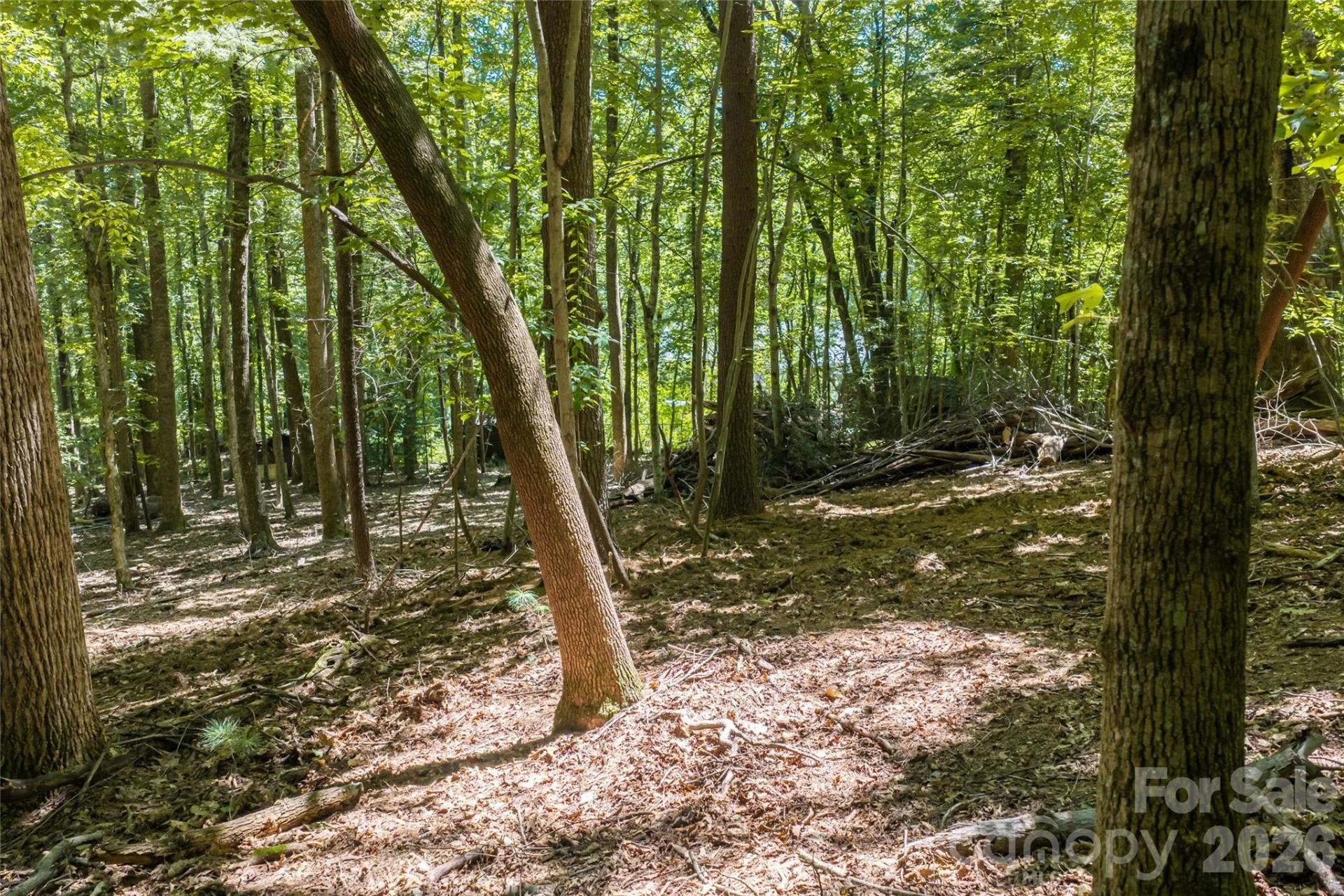 99999 Sabine Drive #2A - Photo 19