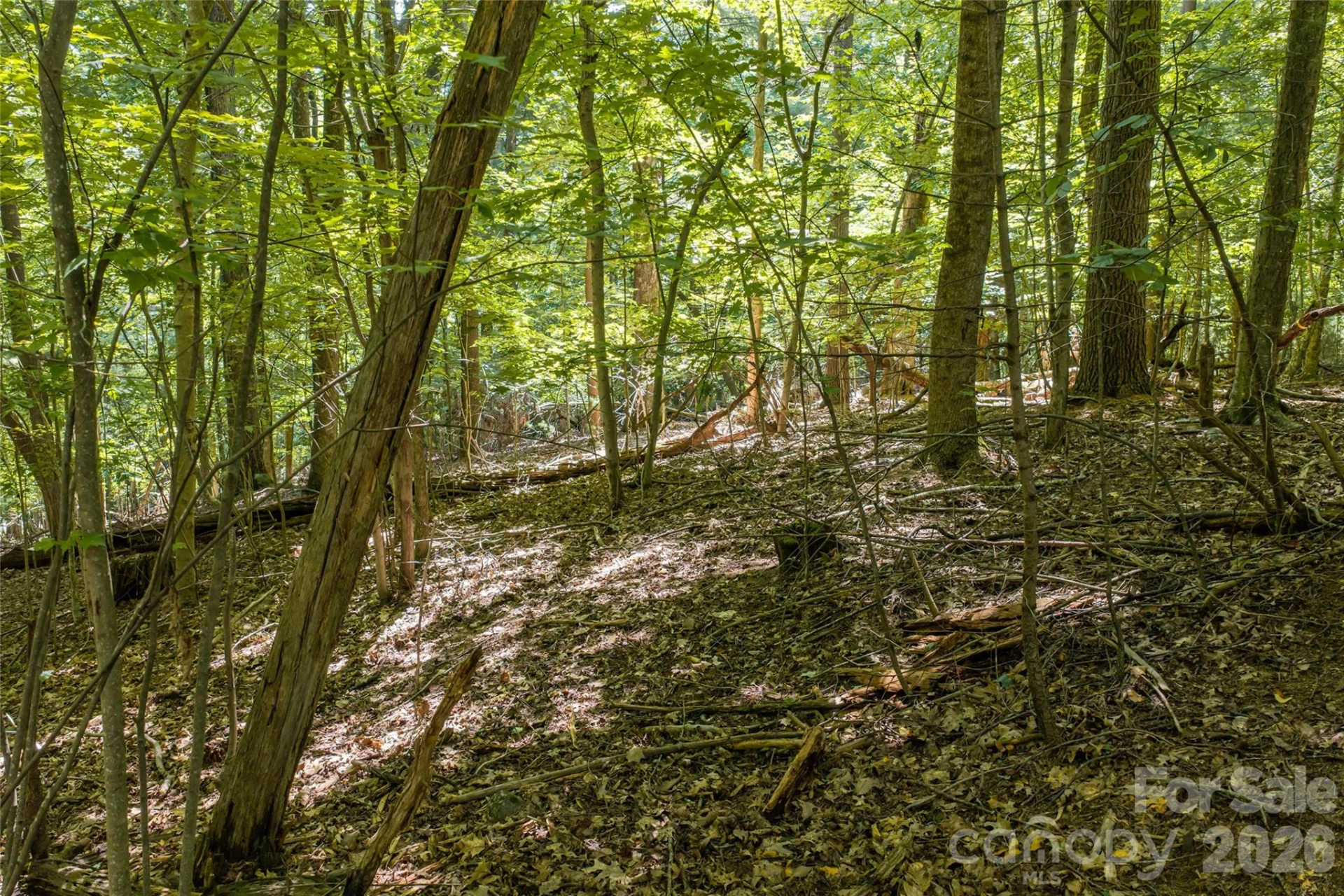 99999 Sabine Drive #2A - Photo 23