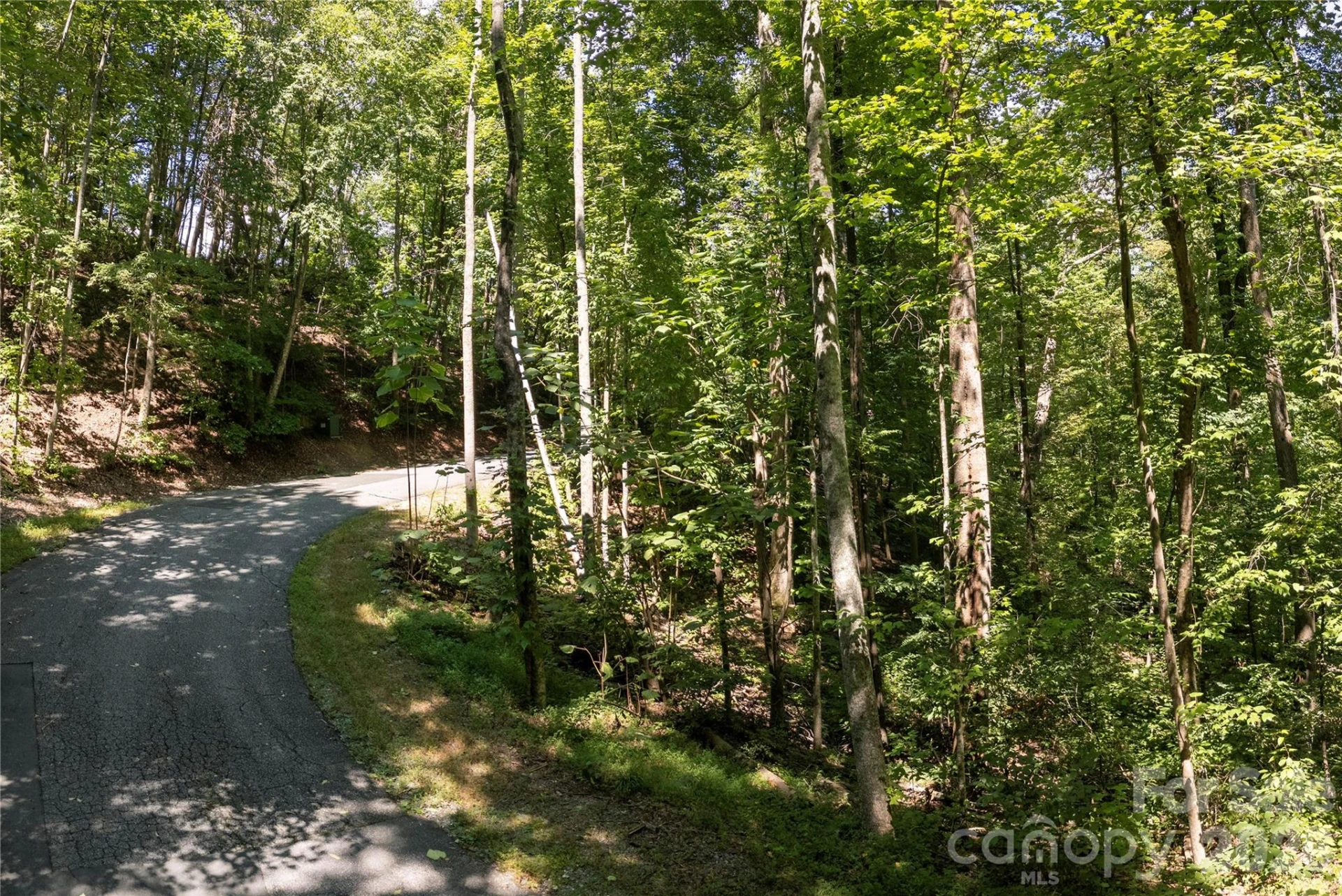 0 Weaver Lane - Photo 3