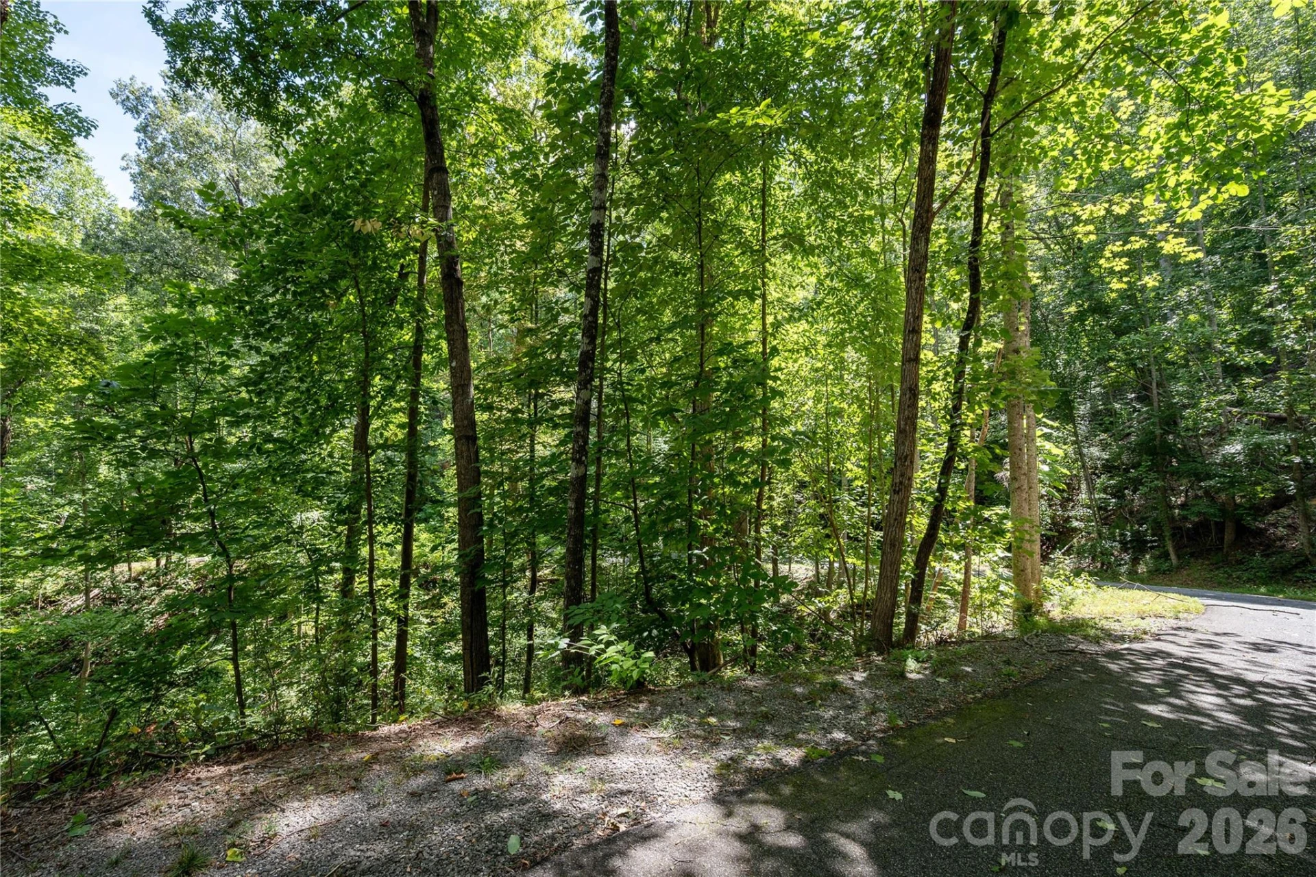 0 Weaver Lane - Photo 6