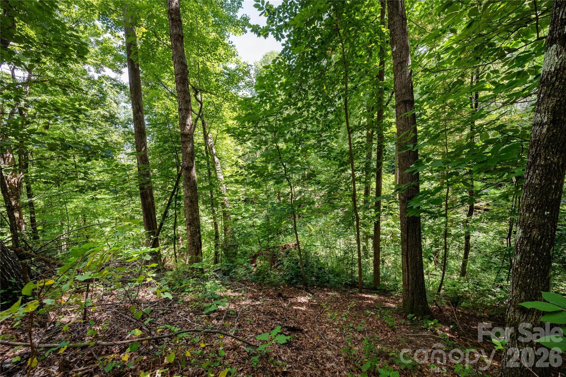 0 Weaver Lane - Photo 7