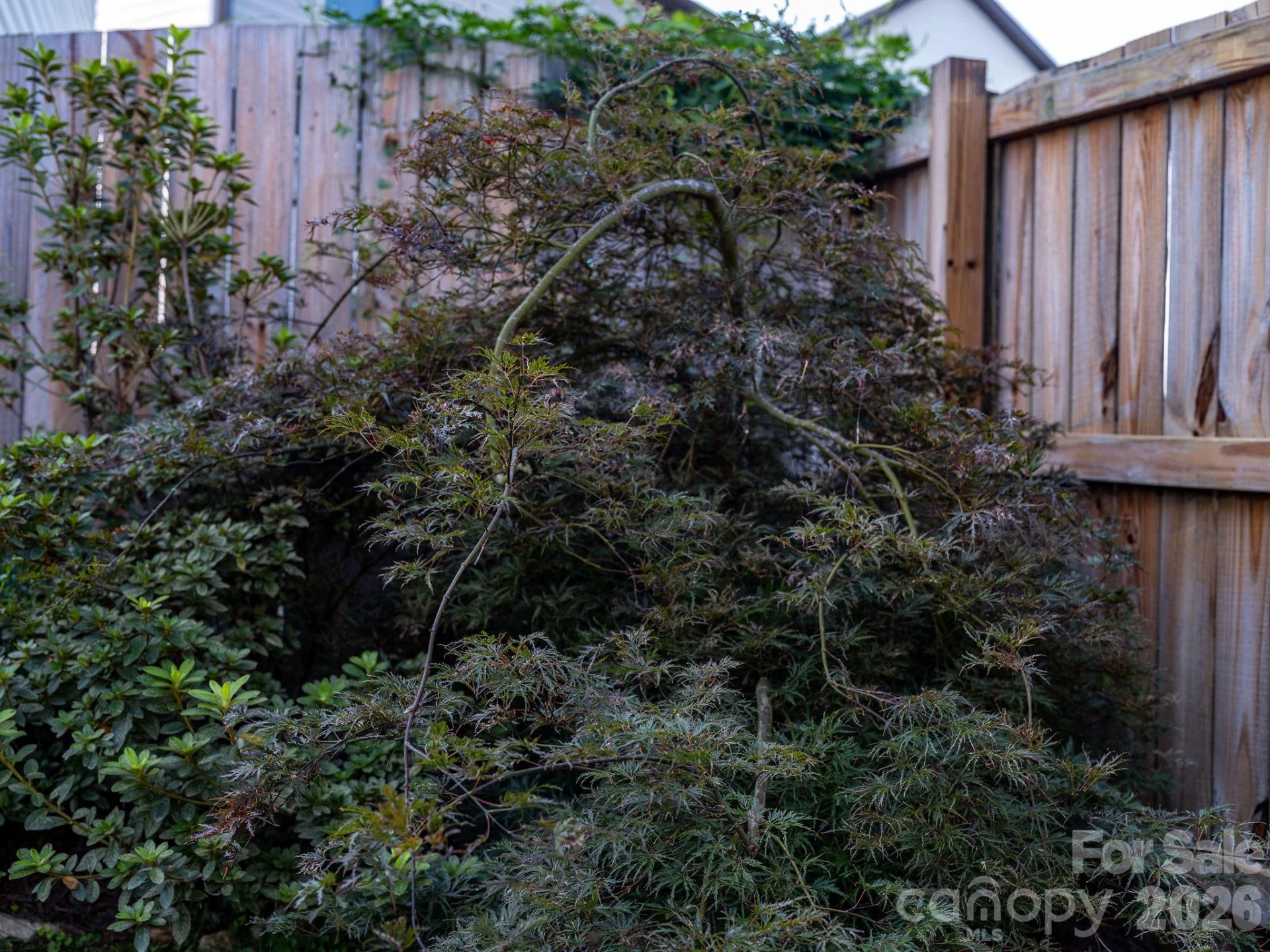 738 Cardwell Lane - Photo 31