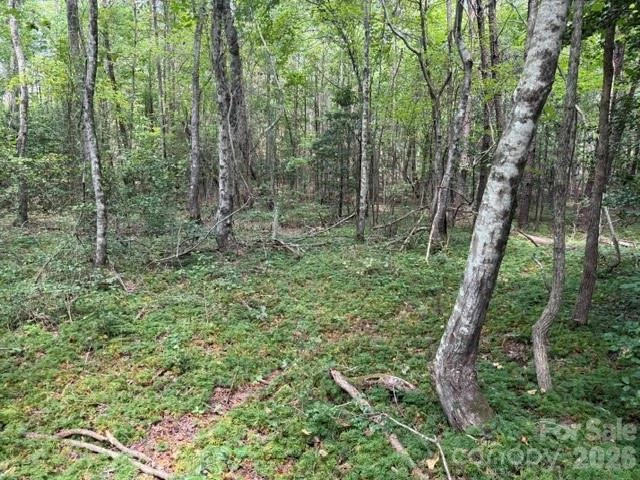 744 Old Hollis Road #12 - Photo 6