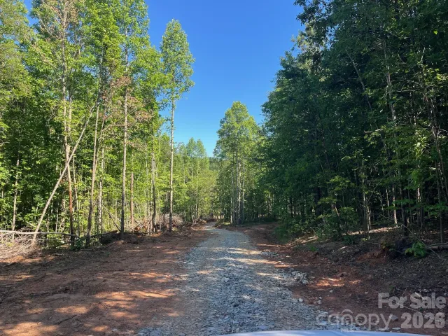 V/L Lotus Drive, Nebo, NC, 28761