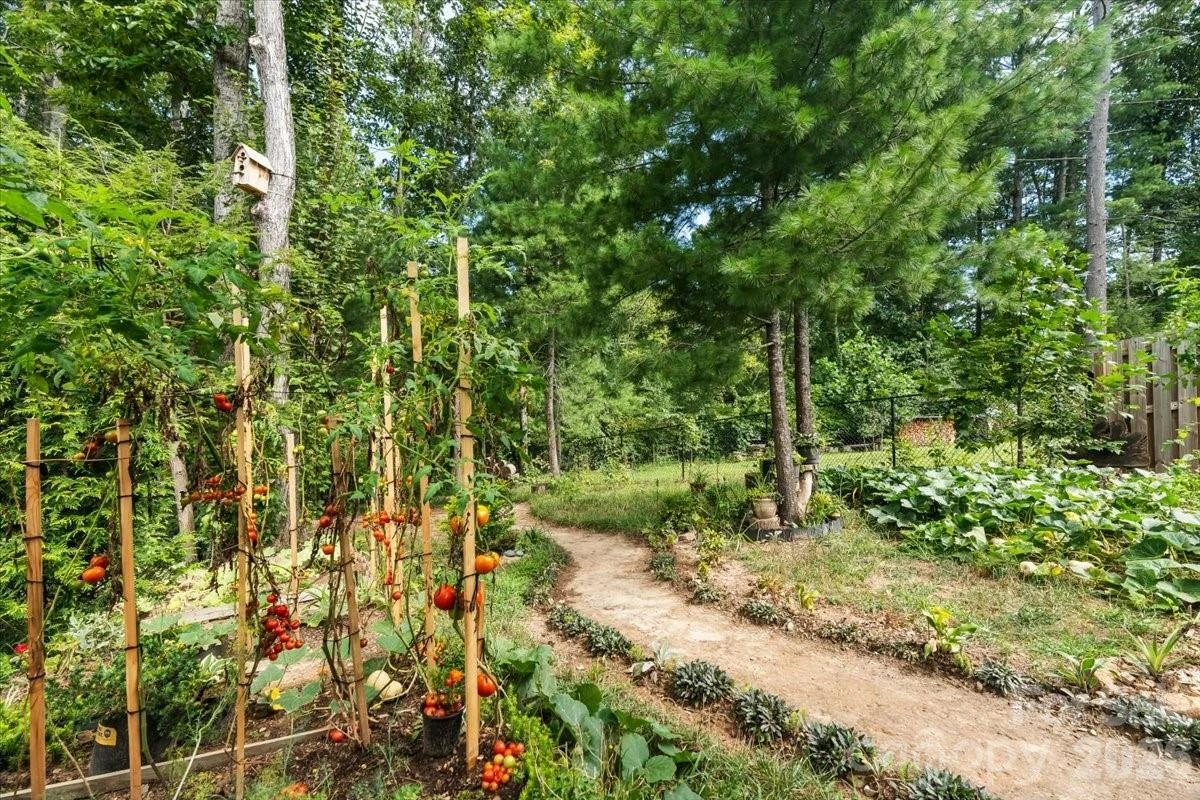 333 Oak Branch Road - Photo 6