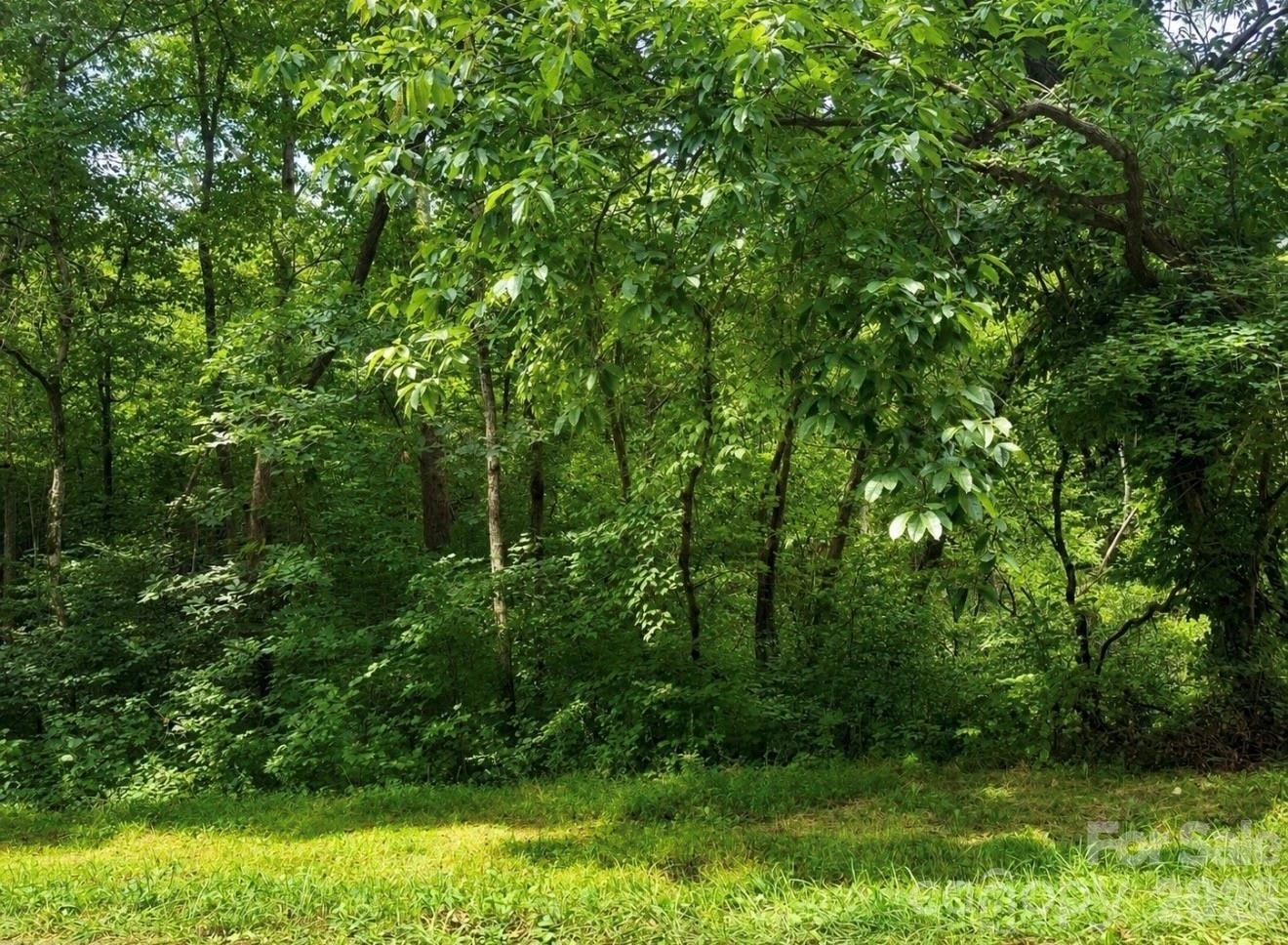 0 State Line Road - Photo 2