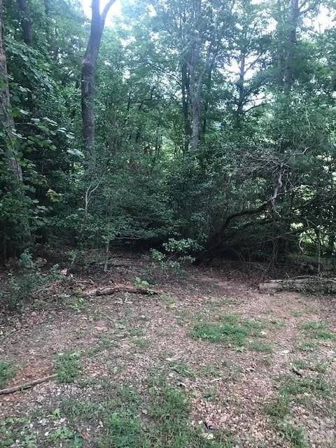 57 Sleepy Gap Road - Photo 11