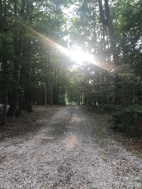 57 Sleepy Gap Road - Photo 13