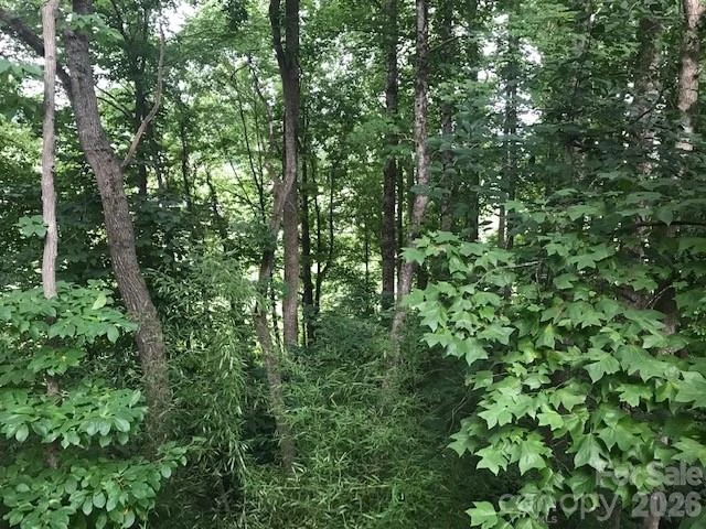 57 Sleepy Gap Road - Photo 14