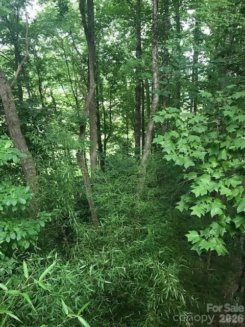57 Sleepy Gap Road - Photo 15