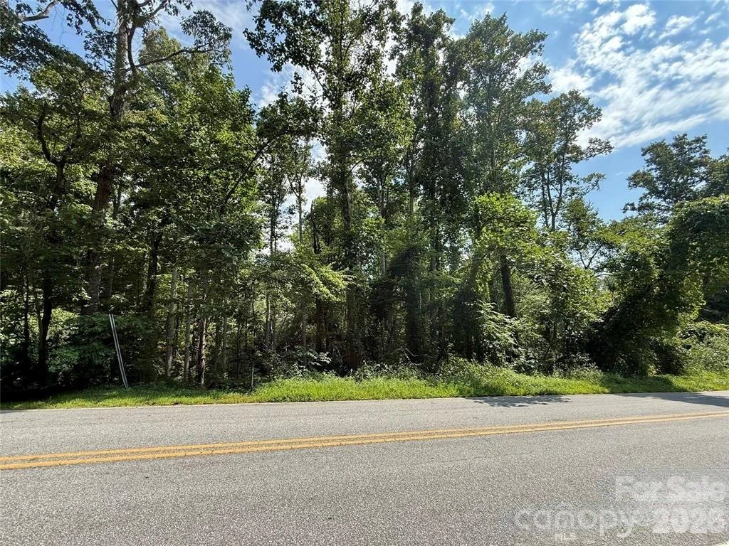 256 Burge Mountain Road - Photo 4