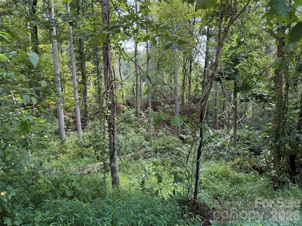 256 Burge Mountain Road - Photo 5