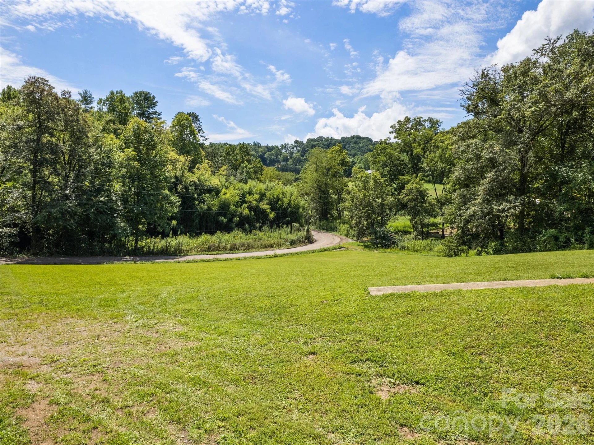 831 Qualla Road - Photo 7