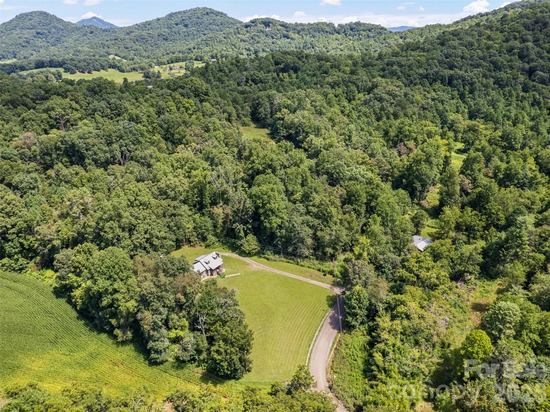 831 Qualla Road - Photo 9