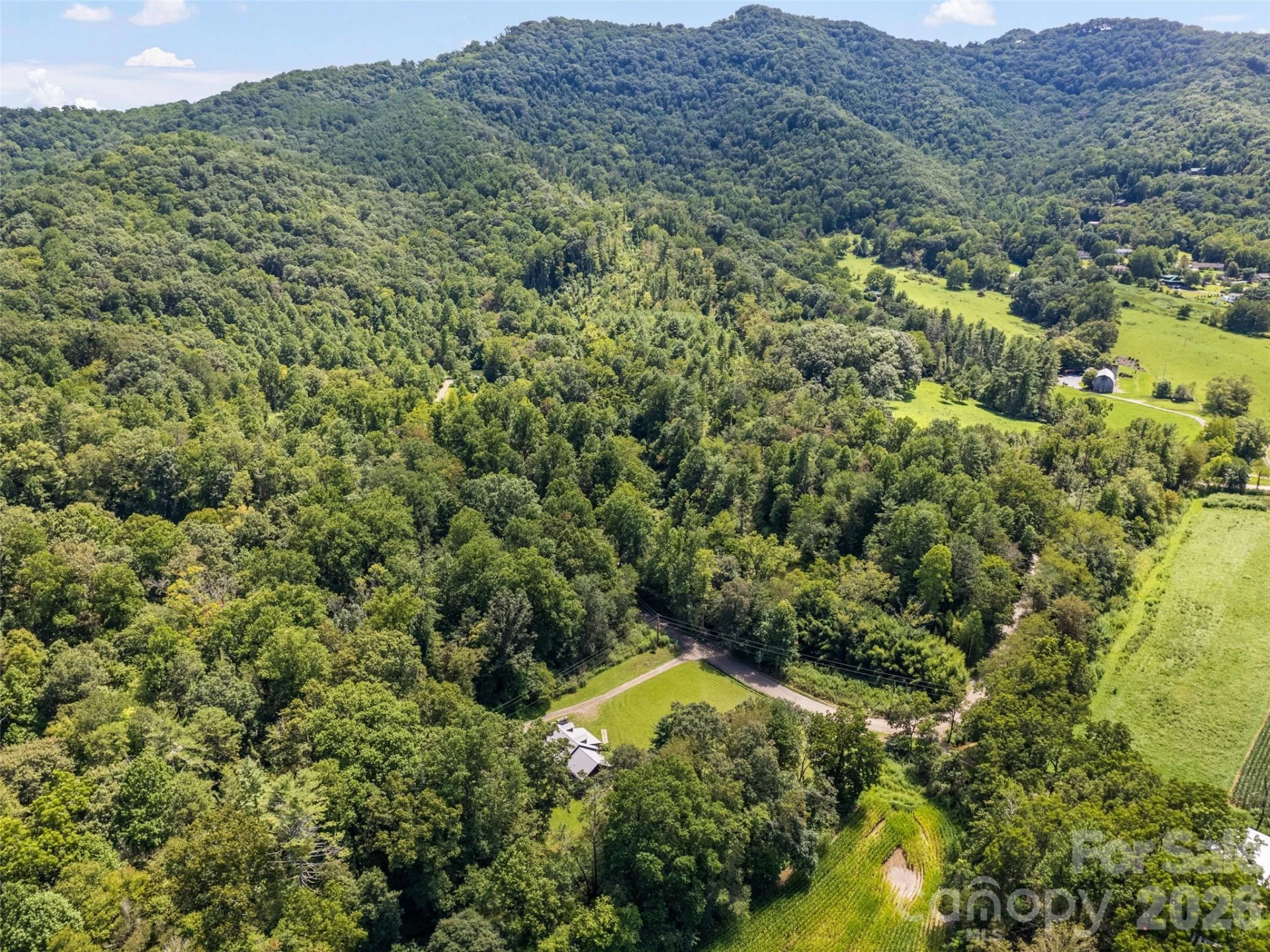 831 Qualla Road - Photo 10