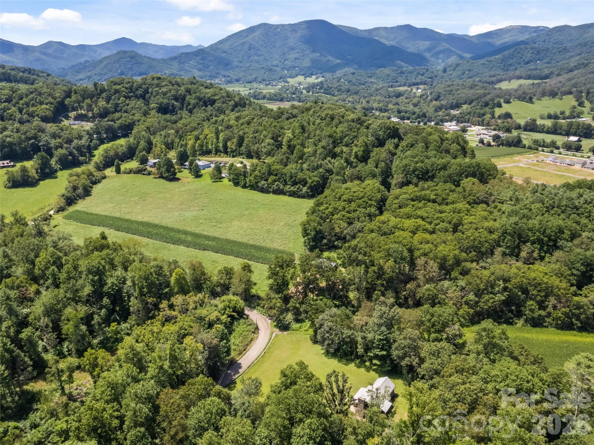 831 Qualla Road - Photo 11