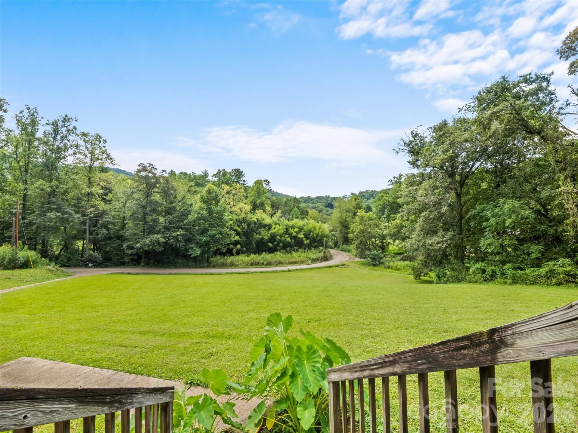 831 Qualla Road - Photo 30