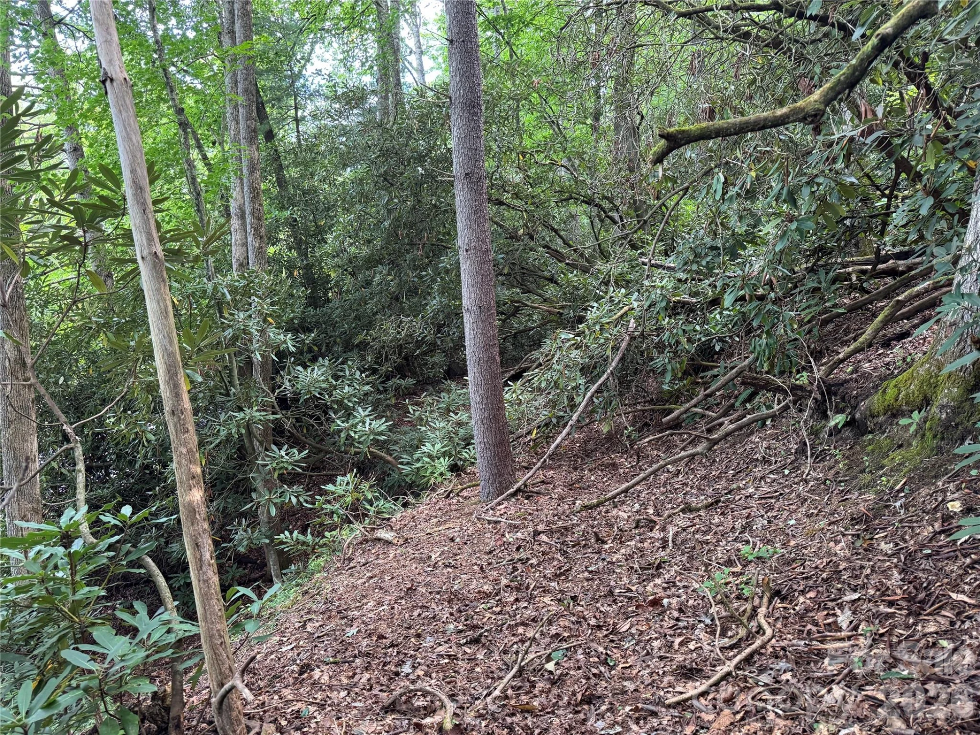 000 Wilson Road - Photo 4