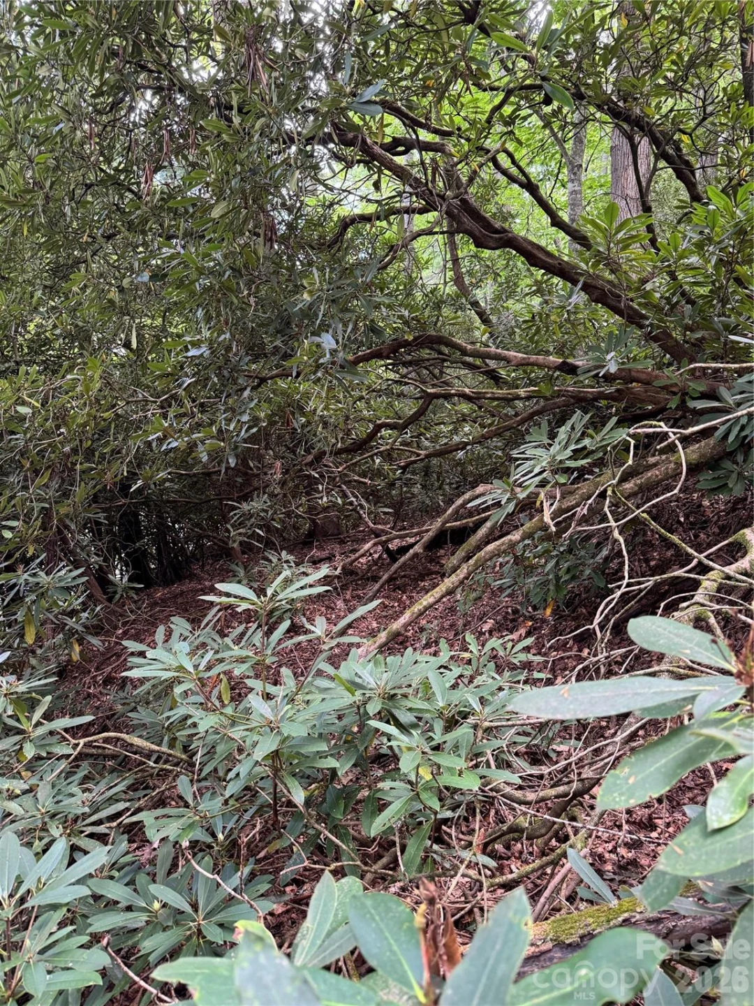 000 Wilson Road - Photo 5