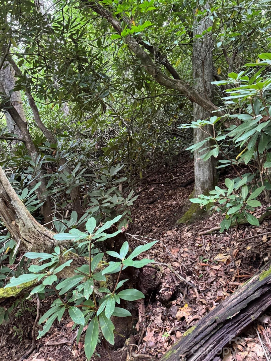000 Wilson Road - Photo 8