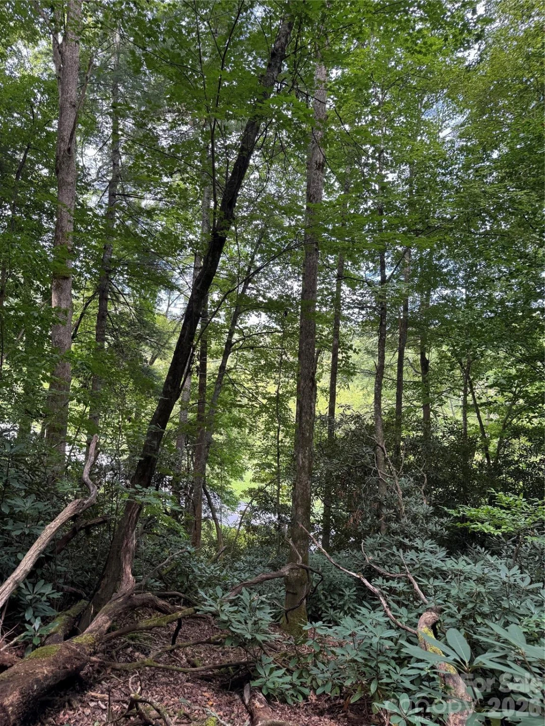 000 Wilson Road - Photo 10