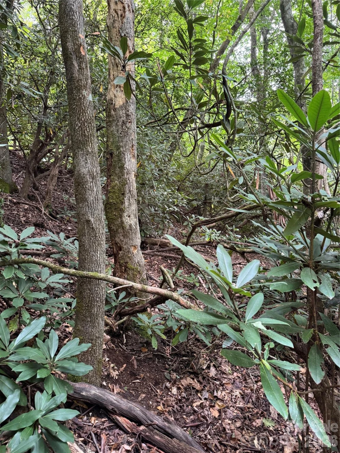 000 Wilson Road - Photo 11