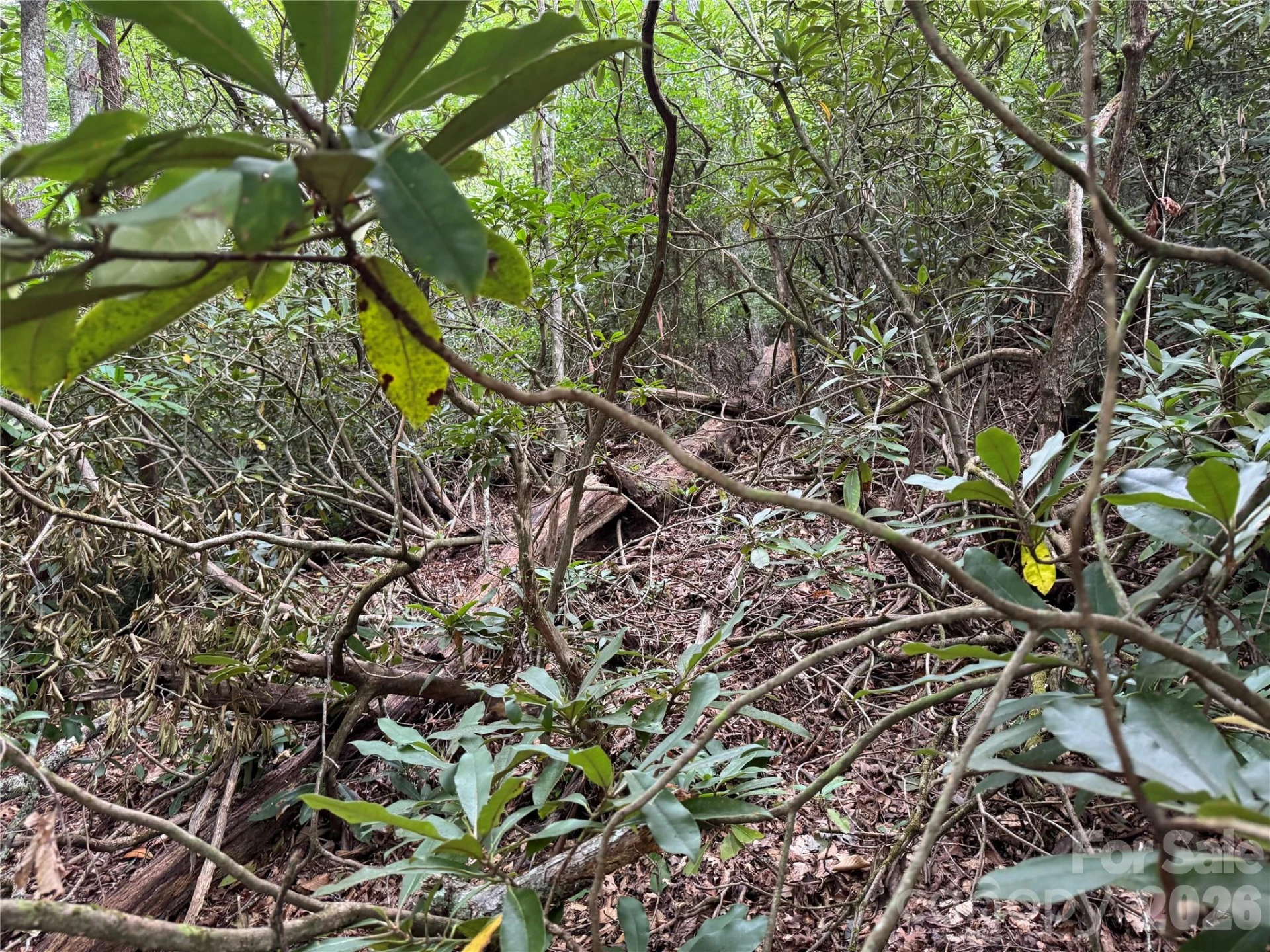000 Wilson Road - Photo 12
