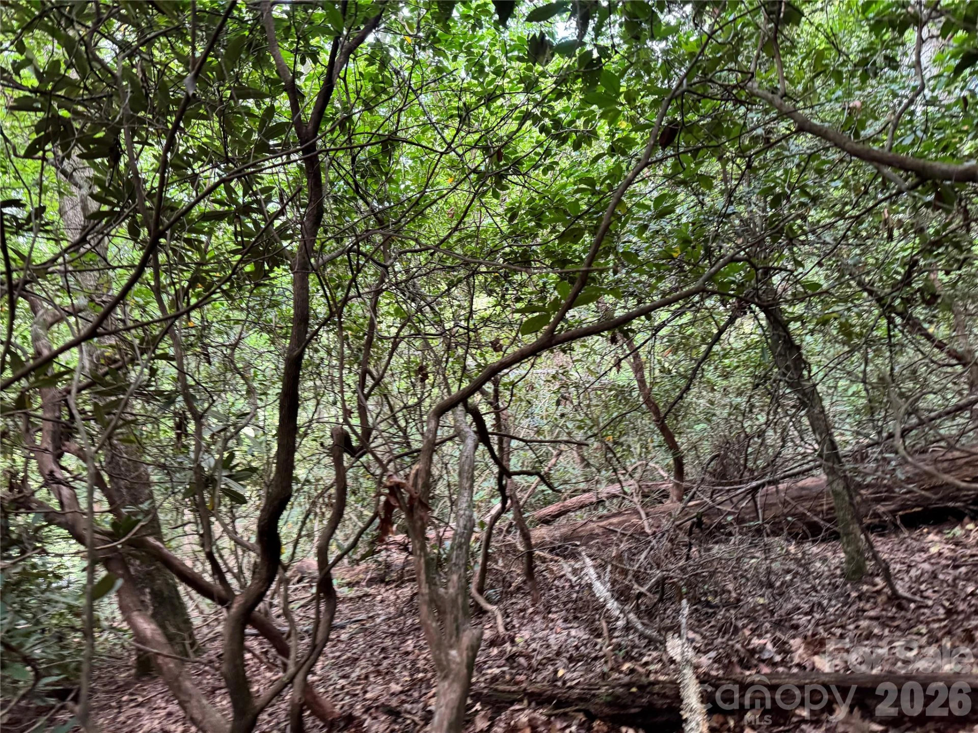 000 Wilson Road - Photo 15