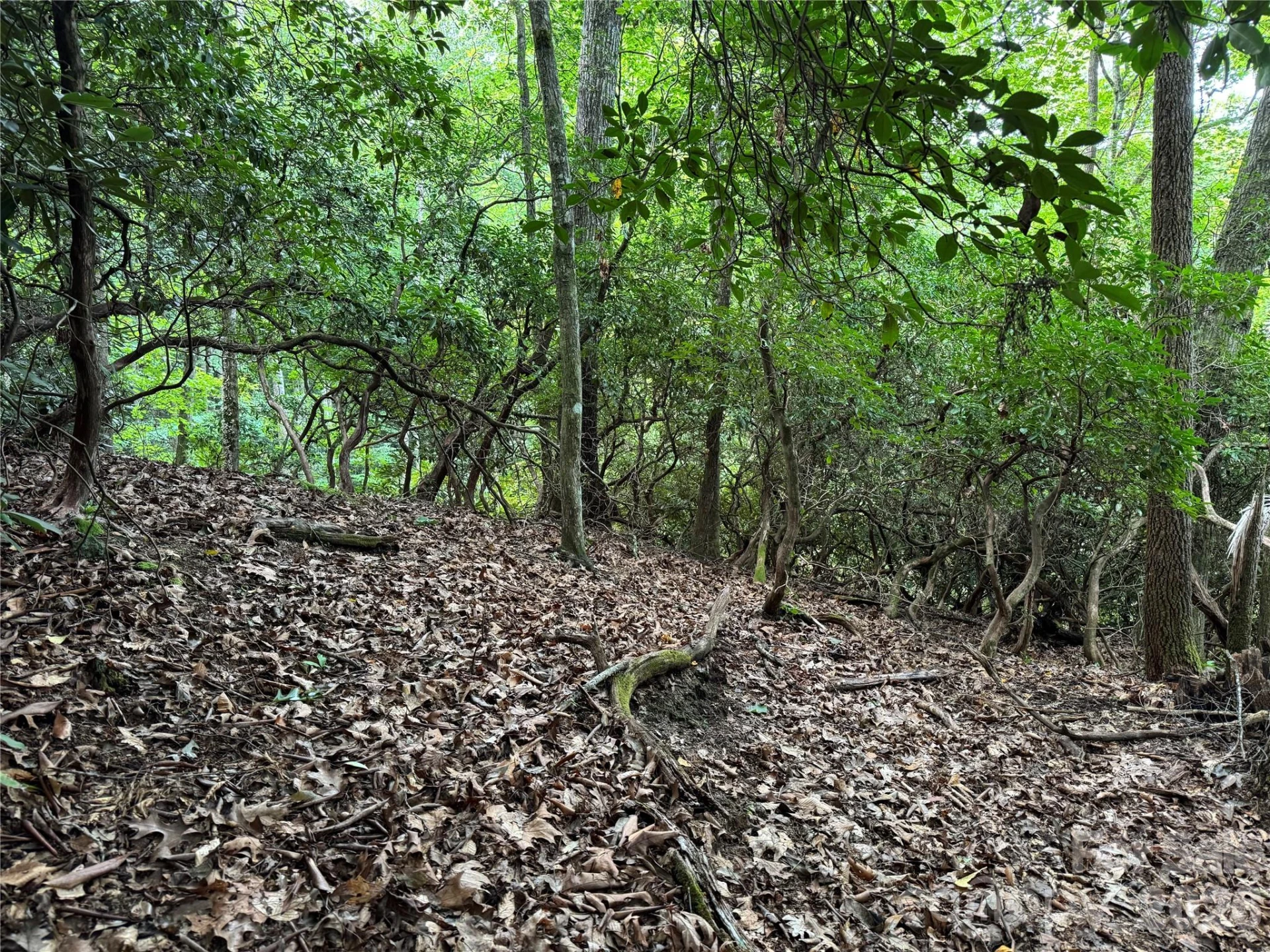 000 Wilson Road - Photo 19