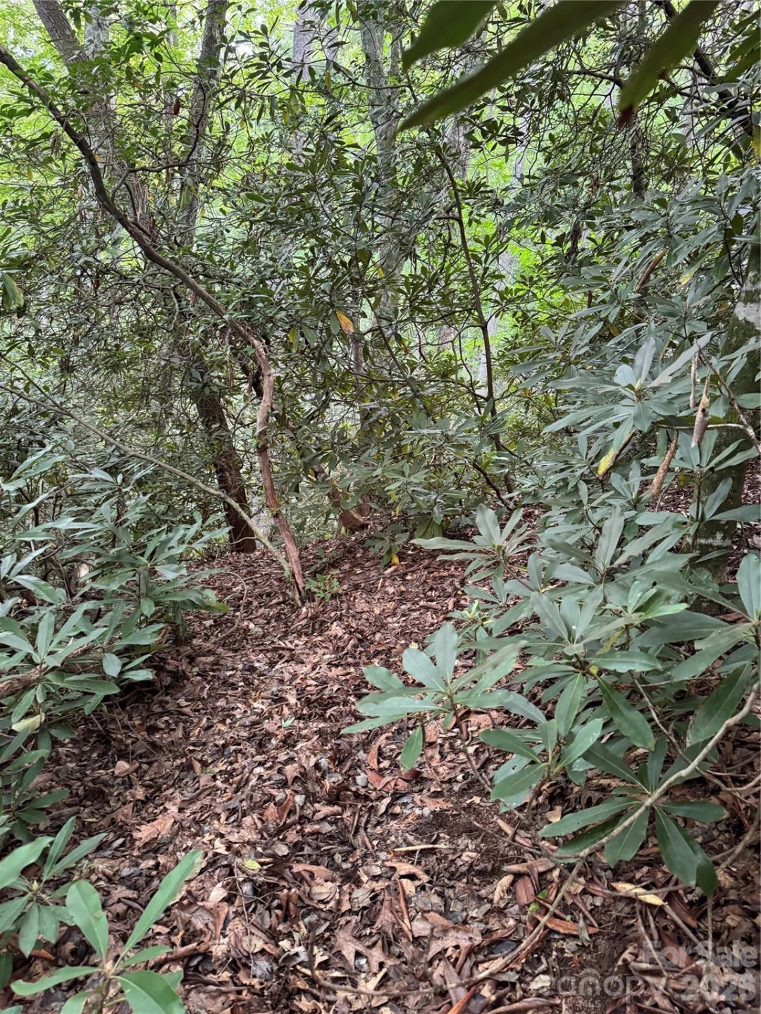 000 Wilson Road - Photo 20