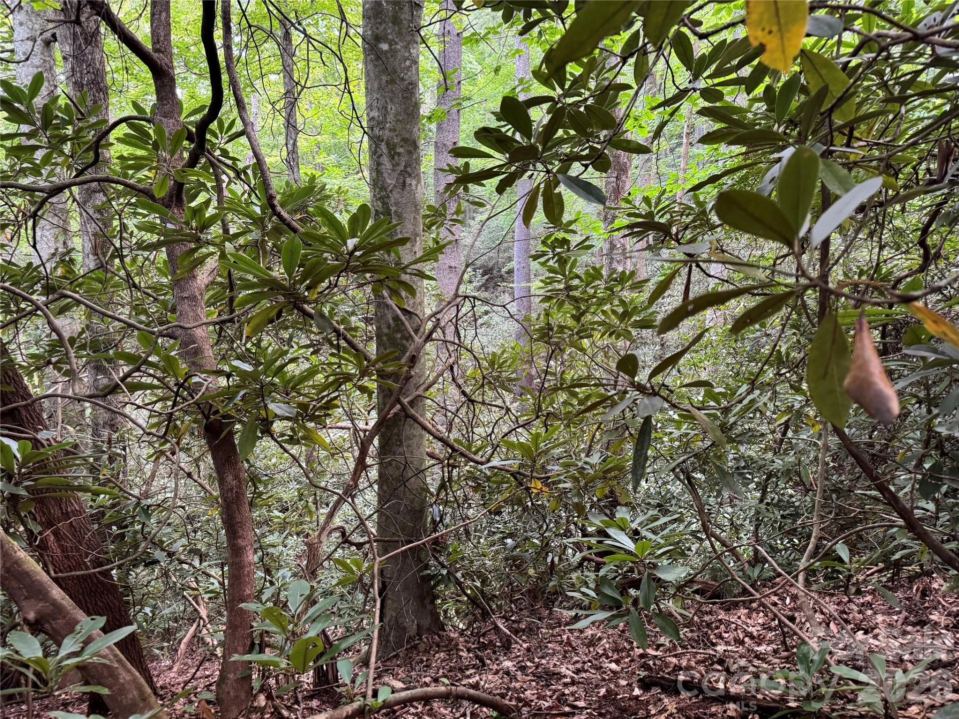 000 Wilson Road - Photo 21