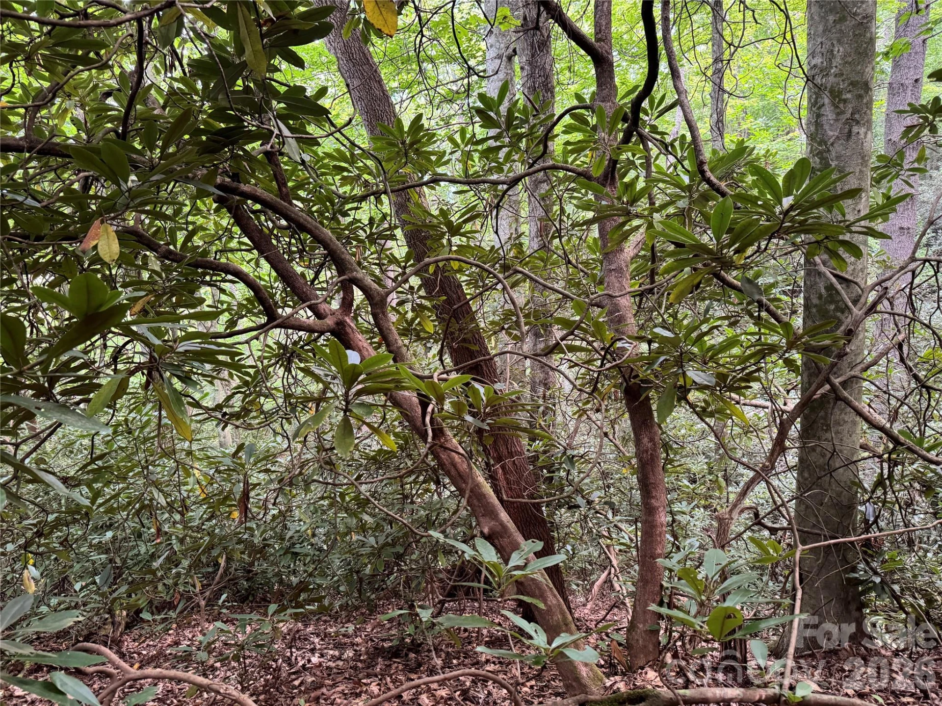 000 Wilson Road - Photo 22