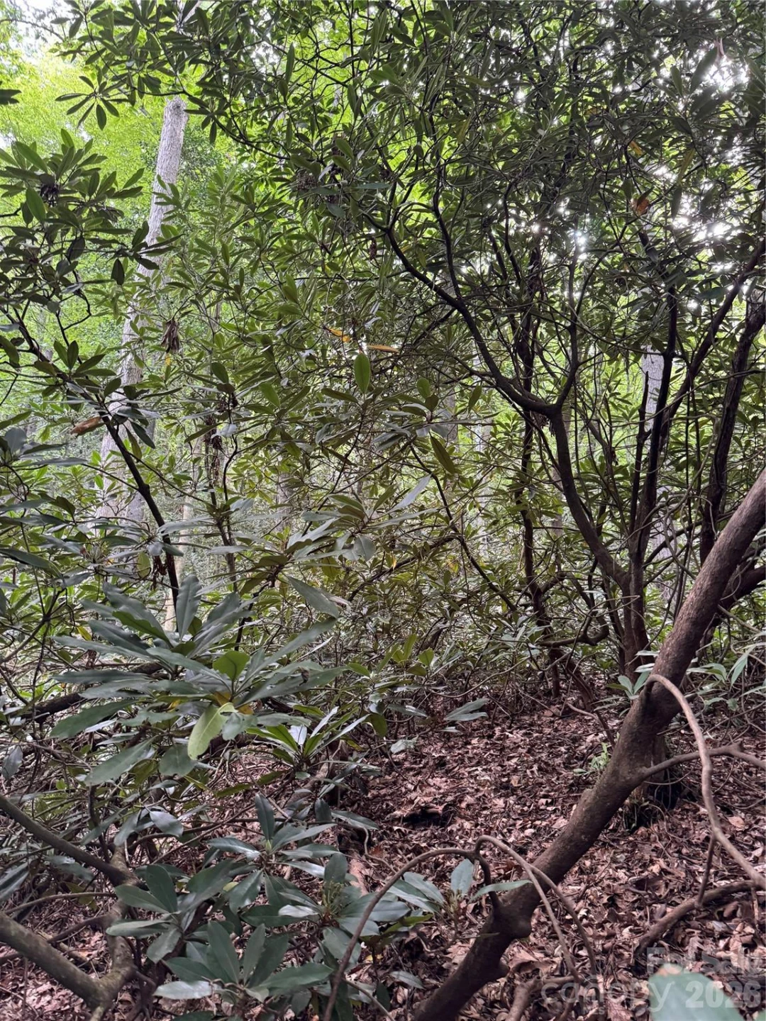000 Wilson Road - Photo 24