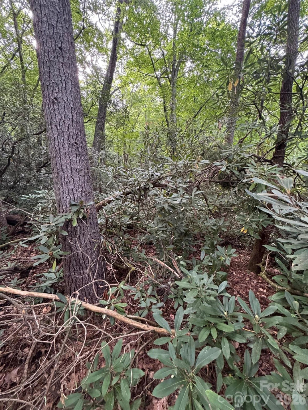 000 Wilson Road - Photo 26
