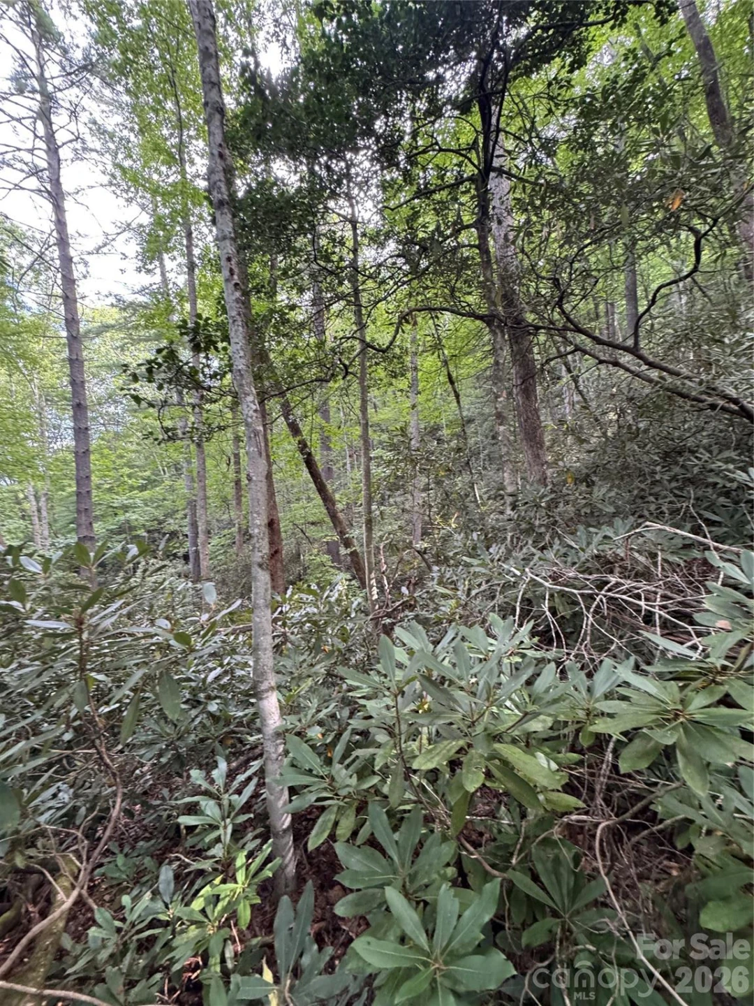 000 Wilson Road - Photo 27