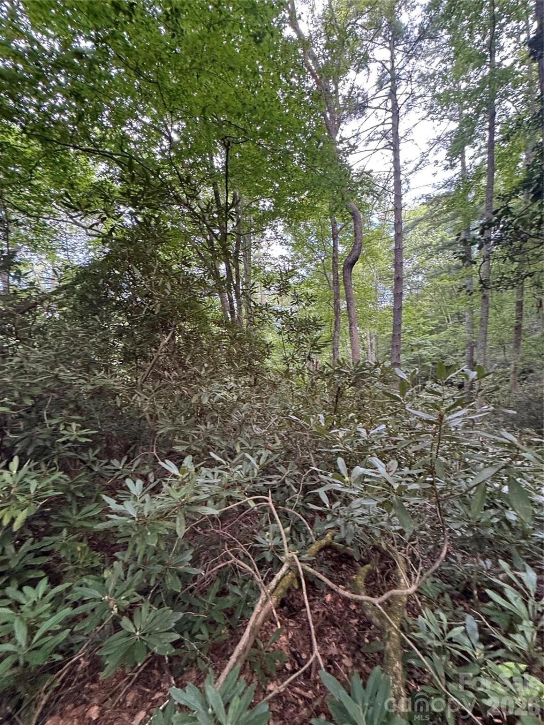 000 Wilson Road - Photo 28