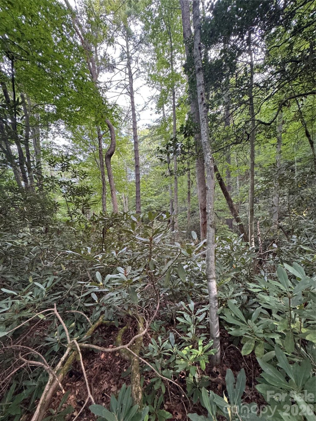 000 Wilson Road - Photo 29