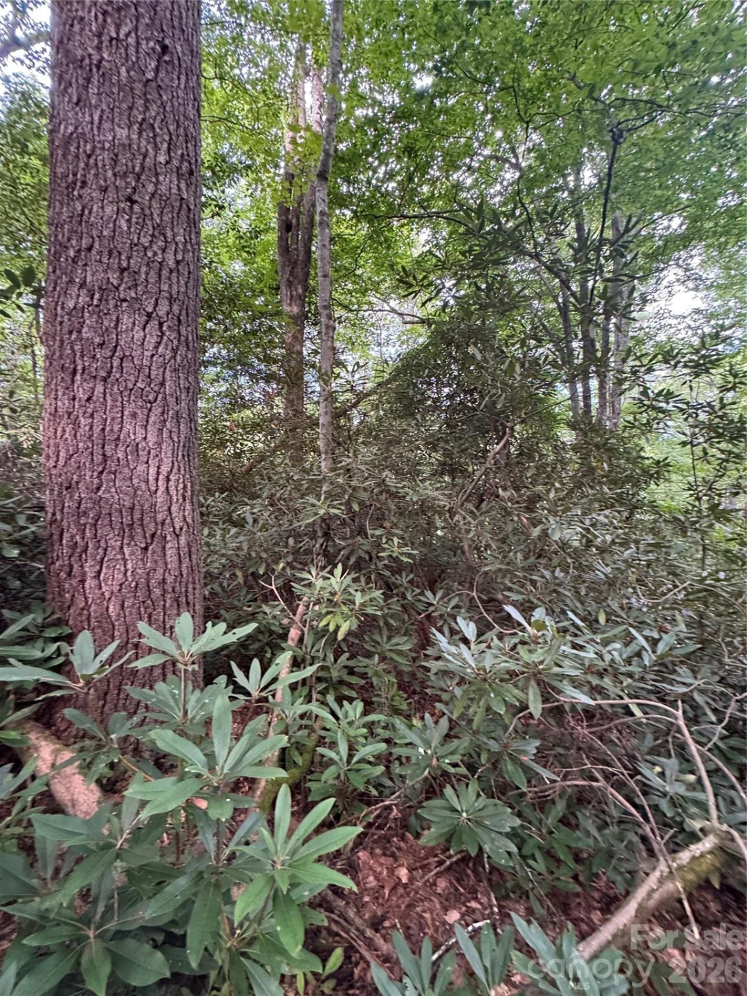 000 Wilson Road - Photo 30